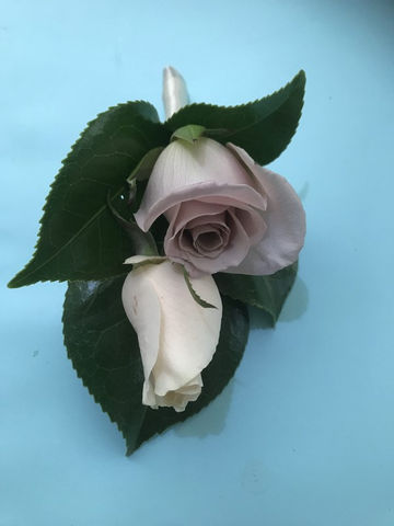 Bouquets, Buttonholes & Corsages