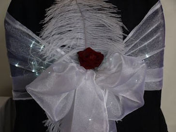 Chair Covers & Sashes