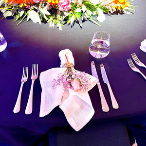 Napkin & Serviette Hire